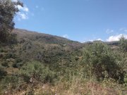 Kolymvari Im Herzen der kretischen Natur – In den Olivenbäumen Grundstück kaufen